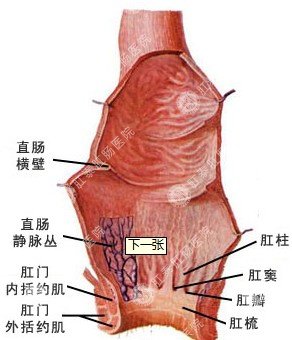 肛门坠胀